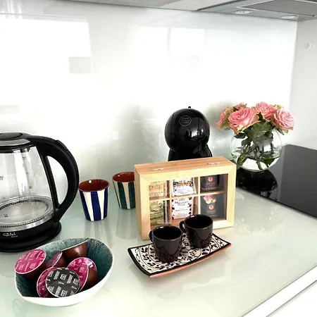 Apartment Matis 2 - Centrum Brno